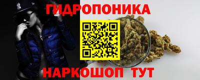 PSILOCYBIN Пугачёв