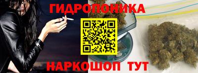 PSILOCYBIN Пугачёв
