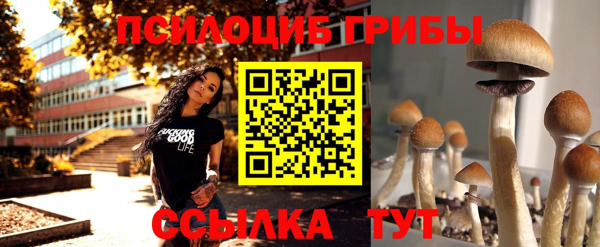 Трёхгорный  Псилоцибиновые грибы мицелий  Вход с VPN 